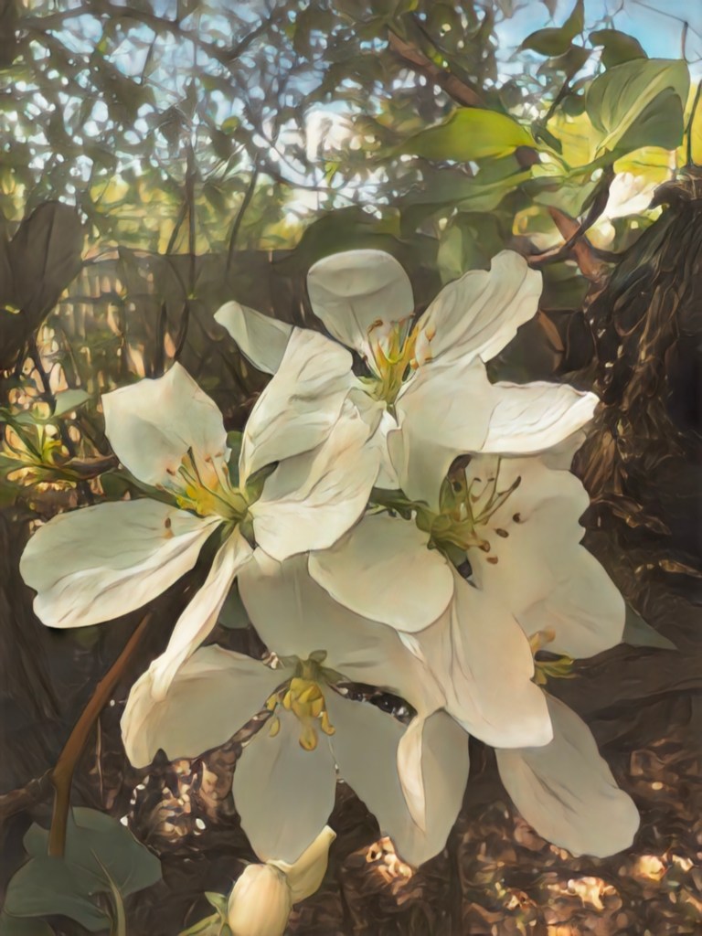 Edited in Prisma app with&nbsp;Cartoon