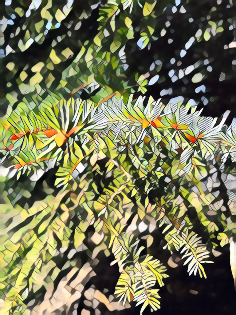 Edited in Prisma app with&nbsp;Dragon