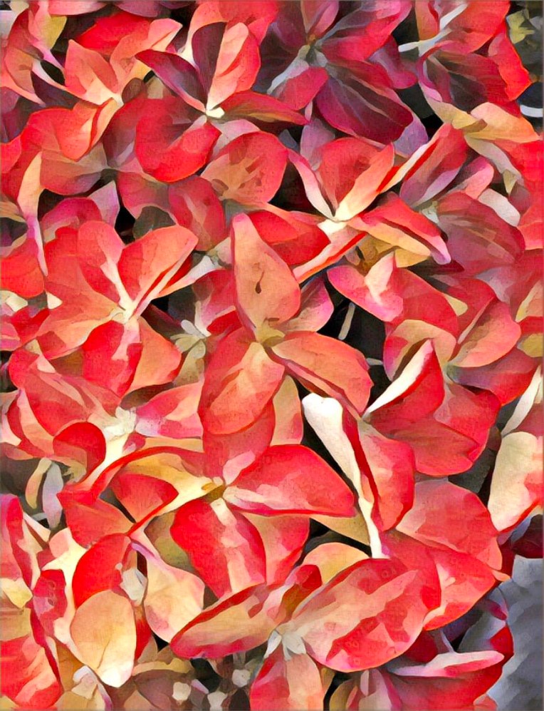 Photos taken by the author in the second week of August, 2025, in and around the Regina Saskatchewan area.